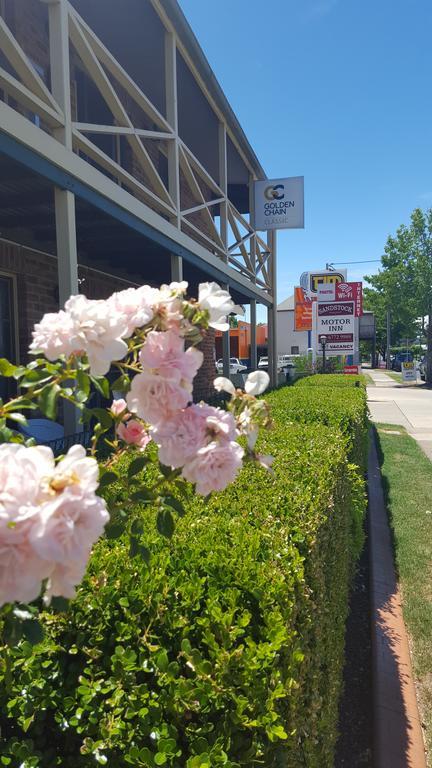 Sandstock Motor Inn Armidale Zewnętrze zdjęcie